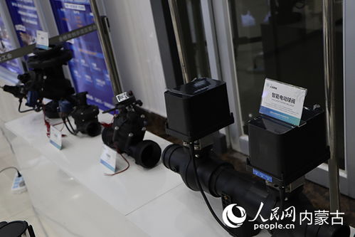 金橋雙創(chuàng)創(chuàng)新集聚區(qū)產(chǎn)業(yè)生態(tài)共創(chuàng)暨科技成果對(duì)接會(huì)成功舉辦，聚焦技術(shù)咨詢賦能產(chǎn)業(yè)發(fā)展