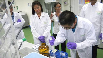 技術(shù)交流共促發(fā)展 國際水稻所深化合作助力全球糧食安全